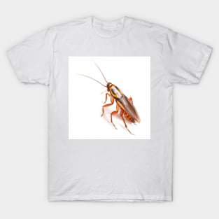 Cockroach T-Shirt